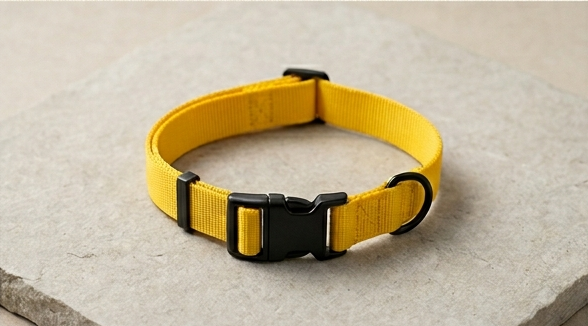 Dog Collars - FOR TAILS & WINGS