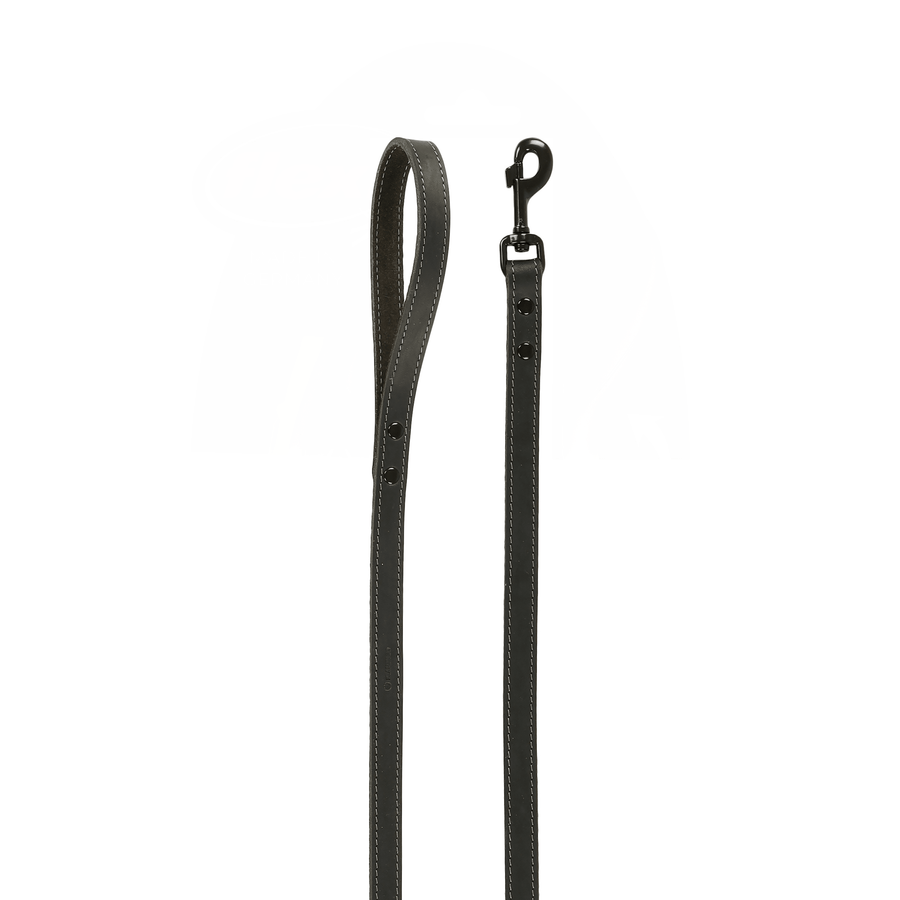 Flamingo Montana Genuine Leather Dog Leash - For Tails And Wings