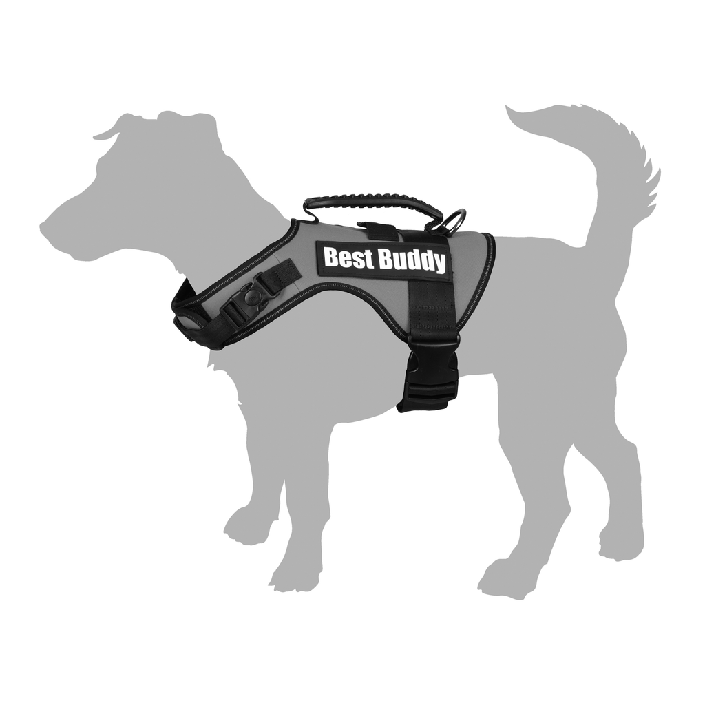 Best Buddy Uranus - Flamingo - Dog Harness - FOR TAILS & WINGS