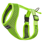 Rukka Pets Comfort Air -valjaat – kevyet ja hengittävät koiranvaljaat – FOR TAILS & WINGS