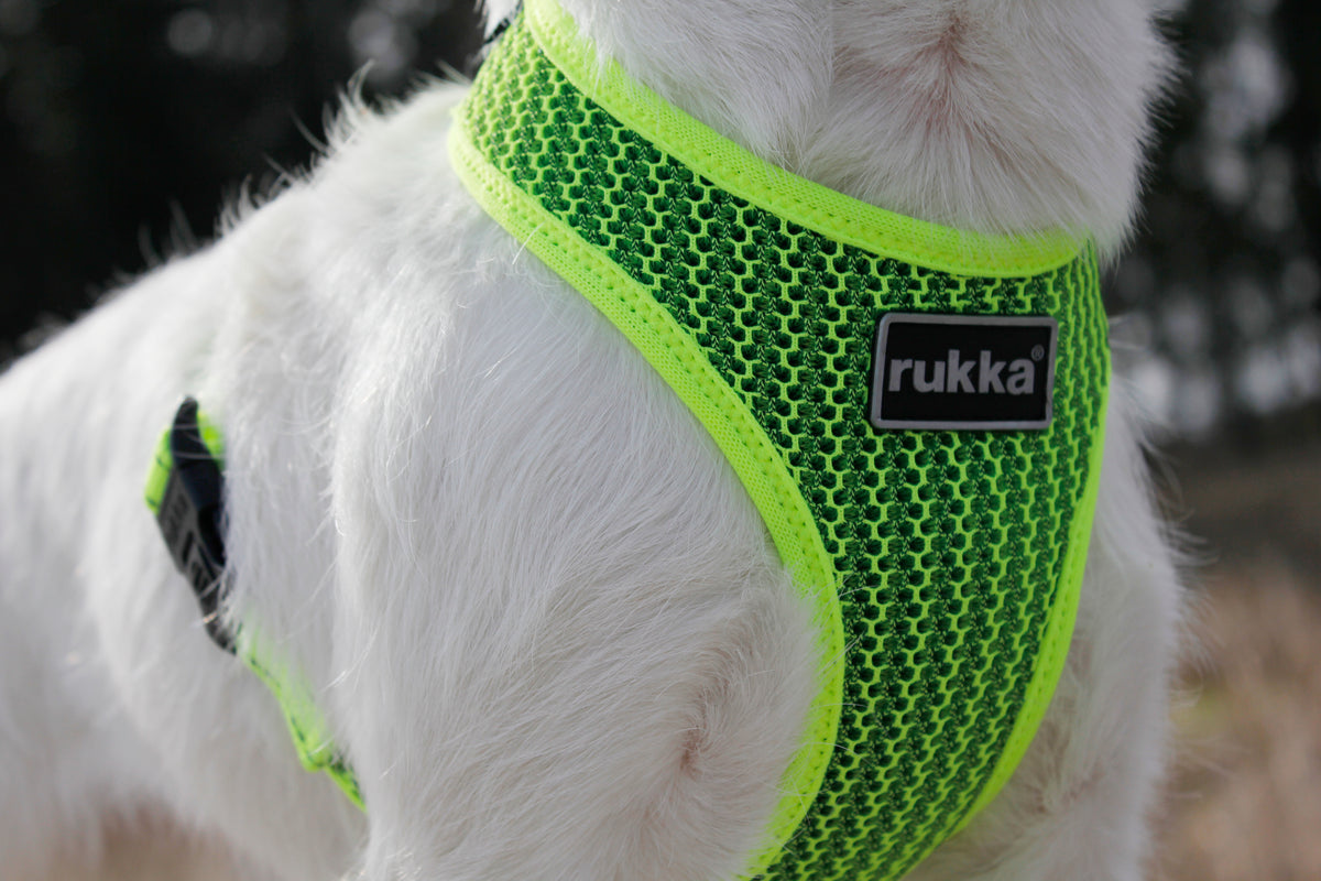 Rukka Pets Comfort Air -valjaat, neonkeltaiset – hengittävät ja kevyet koiranvaljaat