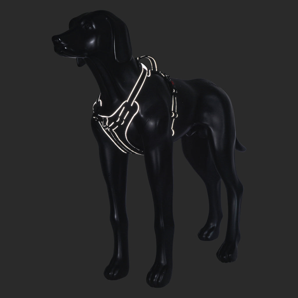 Rukka Solid Black Dog Harness. - For Tails And Wings