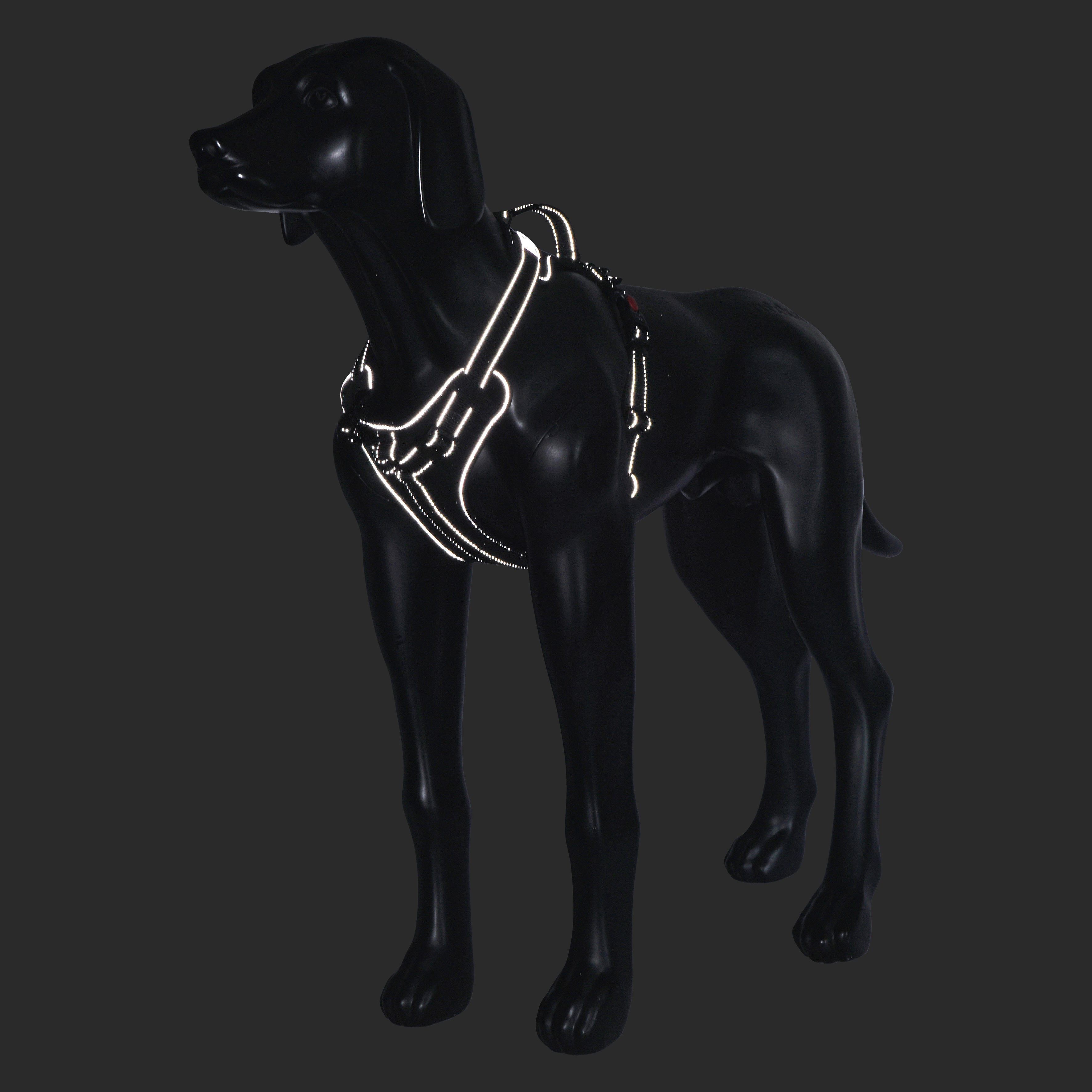 Rukka Solid Black Dog Harness. - For Tails And Wings