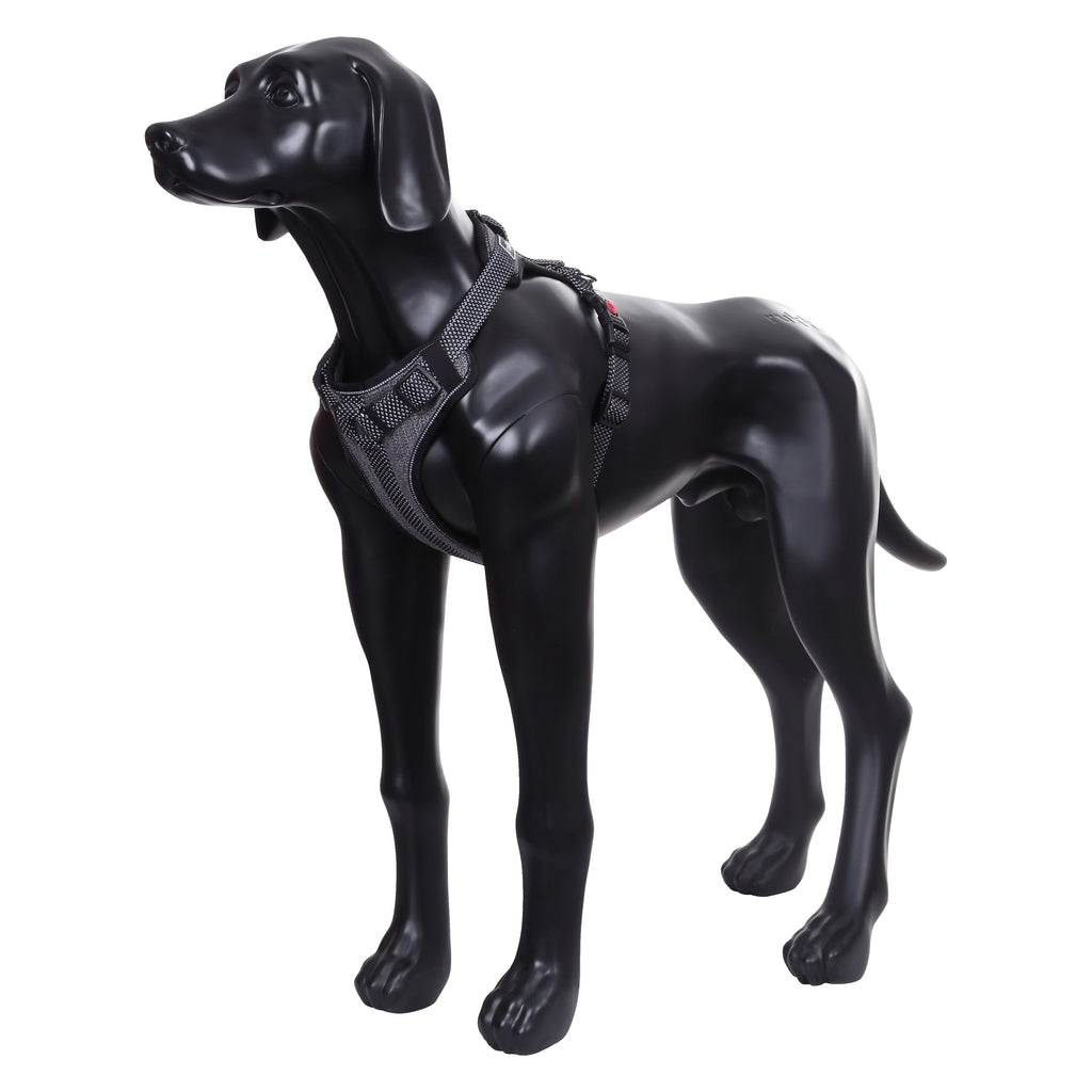 Rukka Pets Star Black Dog Harness - For Tails And Wings