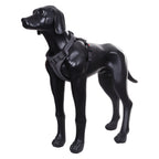 Rukka Pets Star Black Dog Harness - For Tails And Wings