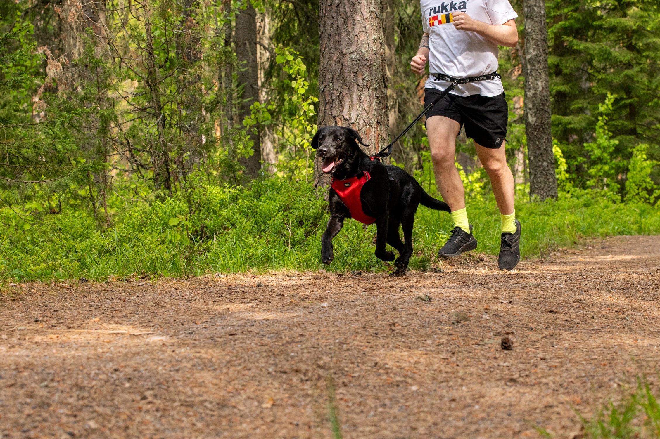 Rukka Pets Hike Harness – Premium Outdoor Dog Harness - FOR TAILS & WINGS
