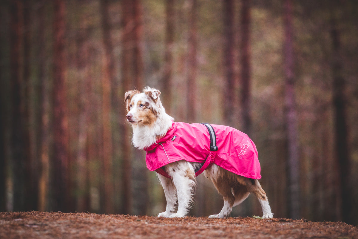 Rukka Pets Hase Raincoat pink – sadetakki koiran päällä