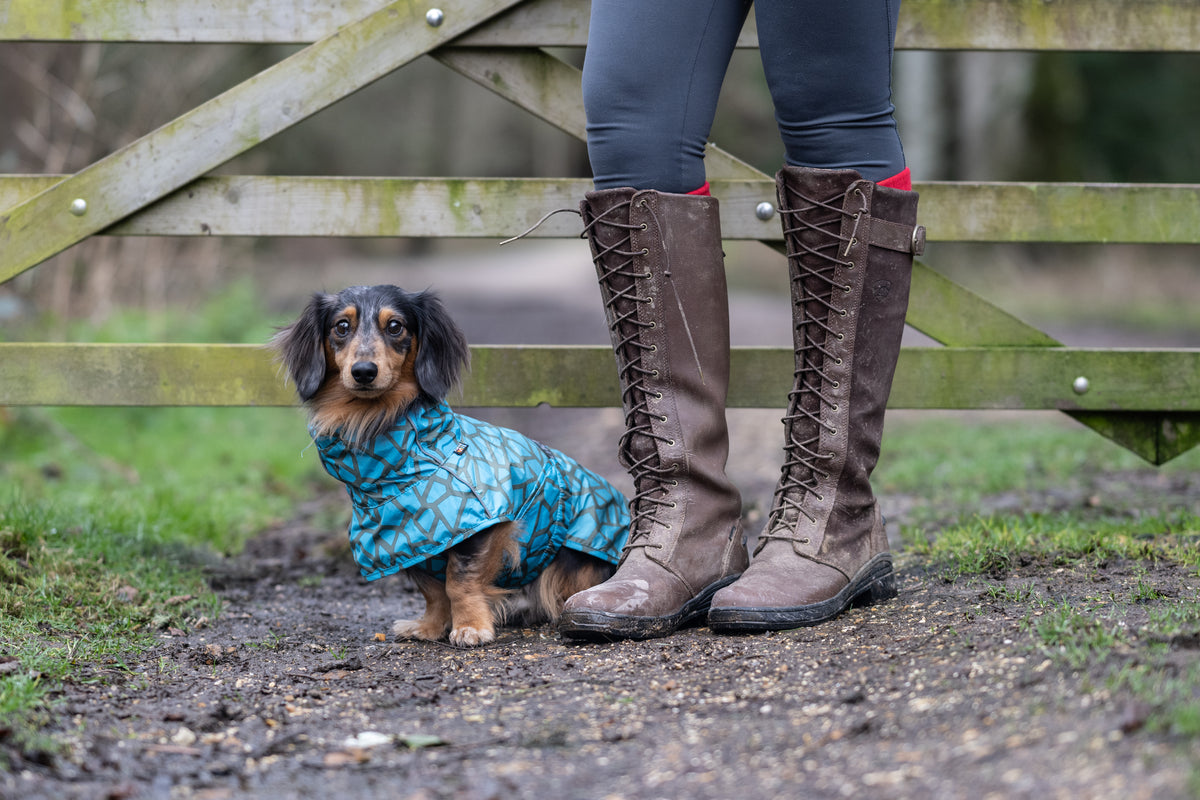 Rukka Pets Hayton Warm Raincoat – sadetakki koiran päällä ulkoillessa, väri 340, lämmin koiran sadetakki