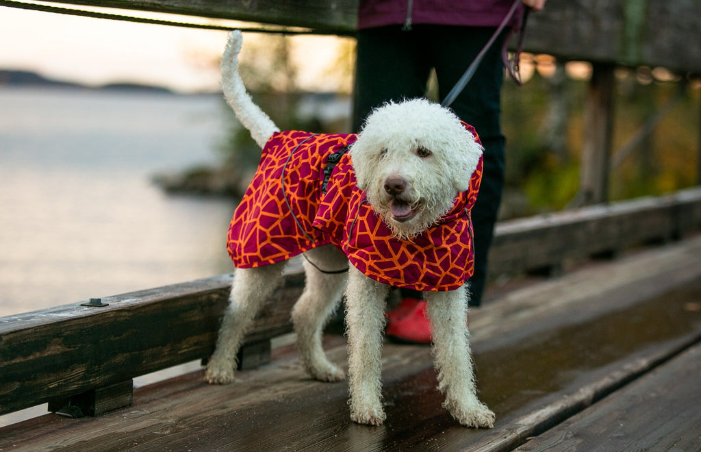 Rukka Pets Hayton Warm Raincoat – sadetakki koiran päällä sivulta, väri 670, lämmin koiran sadetakki