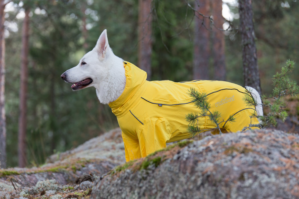 Rukka Pets Protect Overall – vedenpitävä koiran haalari