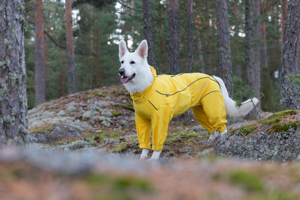 Rukka Pets Protect Overall – vedenpitävä koiran haalari