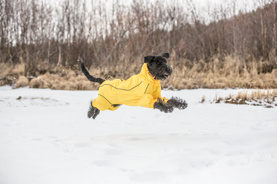 Rukka Pets Protect Overall – vedenpitävä koiran haalari