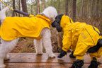 Rukka Pets Protect Overall – vedenpitävä koiran haalari
