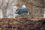 Rukka Pets Protect Overall – vedenpitävä koiran haalari
