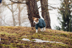 Rukka Pets Protect Overall – vedenpitävä koiran haalari