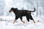Rukka Pets Thermal Overall - koiran lämpöhaalari mustana, tuotekuva 4