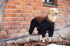 Rukka Pets Subrima technical knit fleece dog overall in Dark Brown – dog wearing the overall