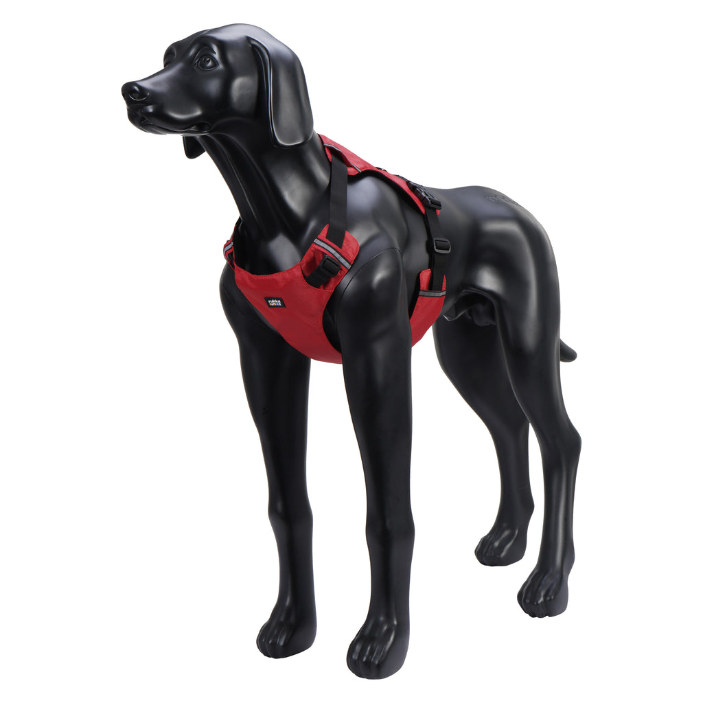 Rukka Pets Hike Harness – Premium Outdoor Dog Harness - FOR TAILS & WINGS
