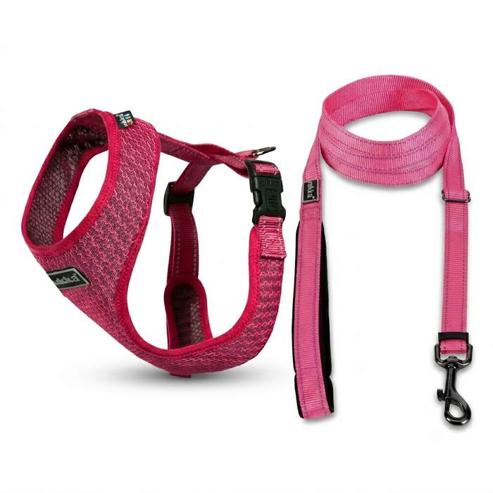 Rukka Pets Comfort Air Fuchsia & Bliss -talutushihna ja -valjaat fuchsia-setti