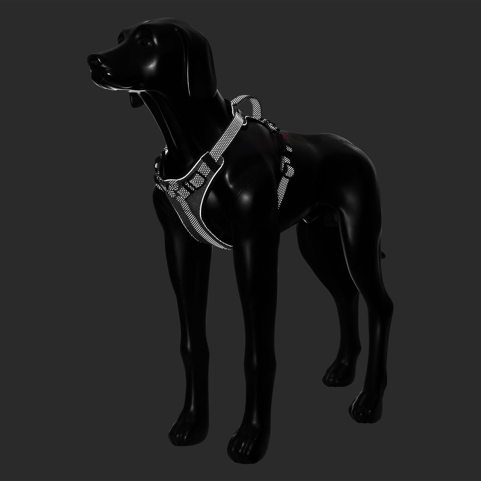 Rukka Pets Star Black -valjaiden heijastavat tikkaukset ja logo